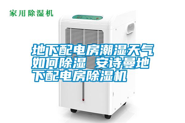 地下配電房潮濕天氣如何除濕 安詩曼地下配電房除濕機