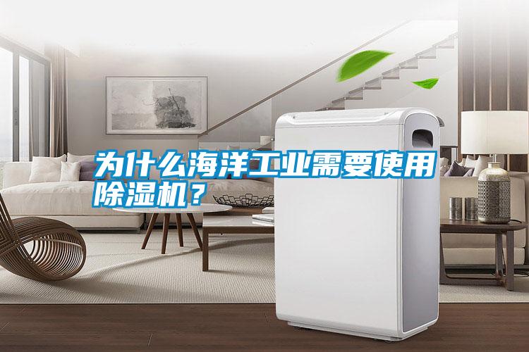 為什么海洋工業(yè)需要使用除濕機？