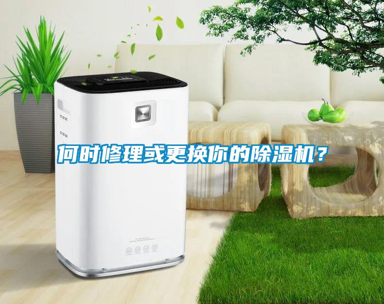 何時修理或更換你的除濕機？