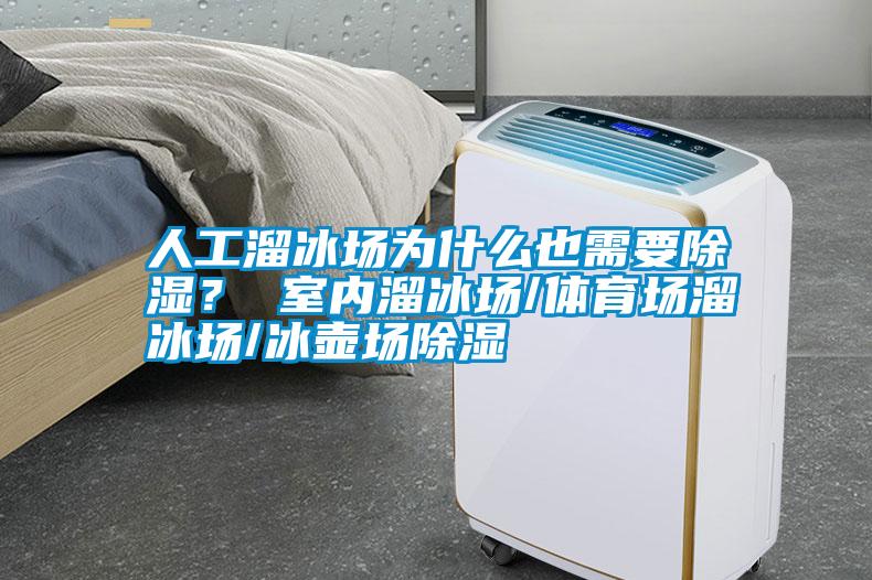 人工溜冰場為什么也需要除濕？ 室內溜冰場/體育場溜冰場/冰壺場除濕