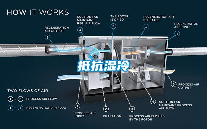 抵抗濕冷