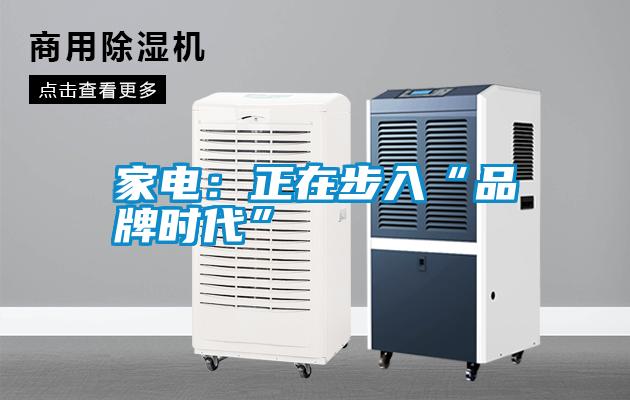 家電：正在步入“品牌時代”