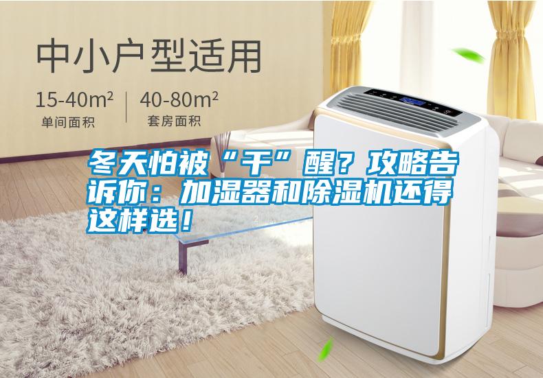 冬天怕被“干”醒？攻略告訴你：加濕器和除濕機還得這樣選！