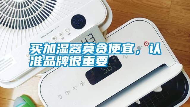 買加濕器莫貪便宜，認準品牌很重要