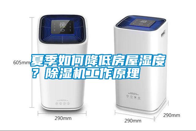 夏季如何降低房屋濕度？除濕機工作原理