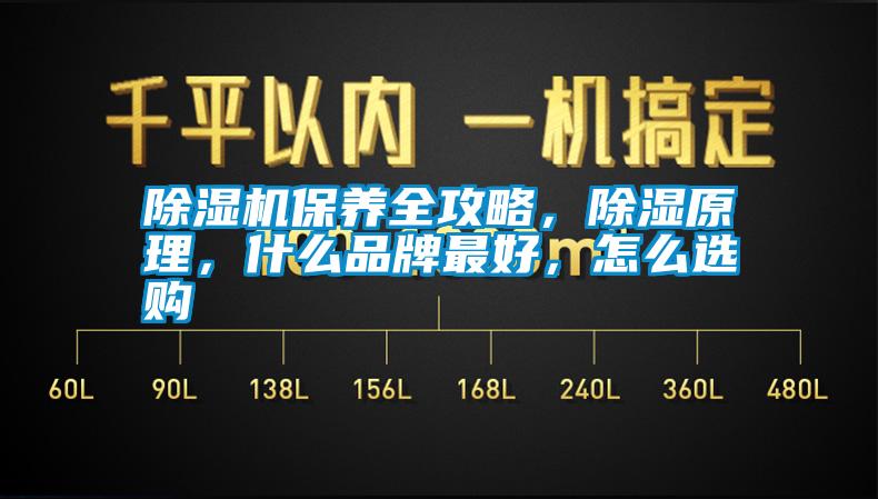 除濕機保養全攻略，除濕原理，什么品牌最好，怎么選購