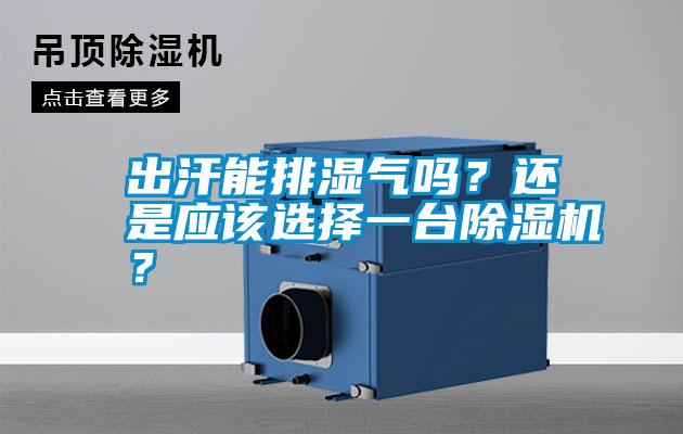 出汗能排濕氣嗎？還是應(yīng)該選擇一臺除濕機？