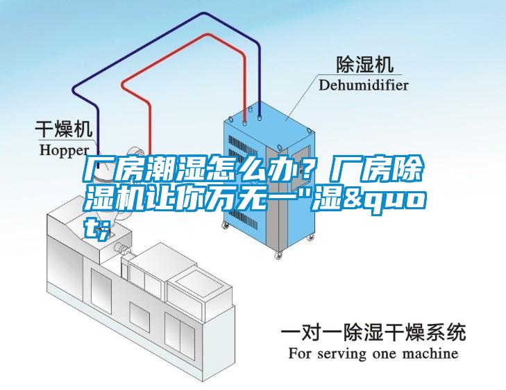 廠房潮濕怎么辦？廠房除濕機讓你萬無一''濕"