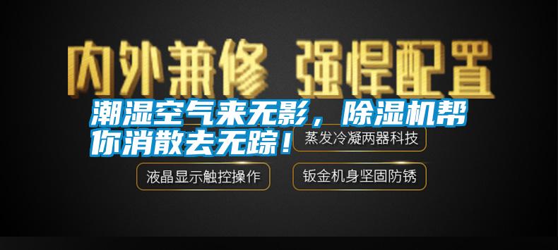 潮濕空氣來無影，除濕機幫你消散去無蹤！