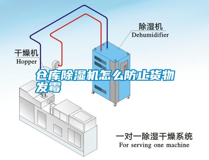 倉庫除濕機怎么防止貨物發霉