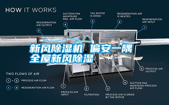 新風除濕機 偏安一隅 全屋新風除濕