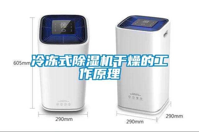 冷凍式除濕機干燥的工作原理