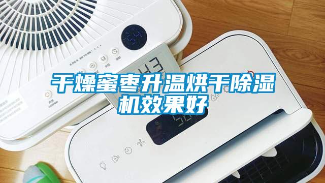 干燥蜜棗升溫烘干除濕機效果好