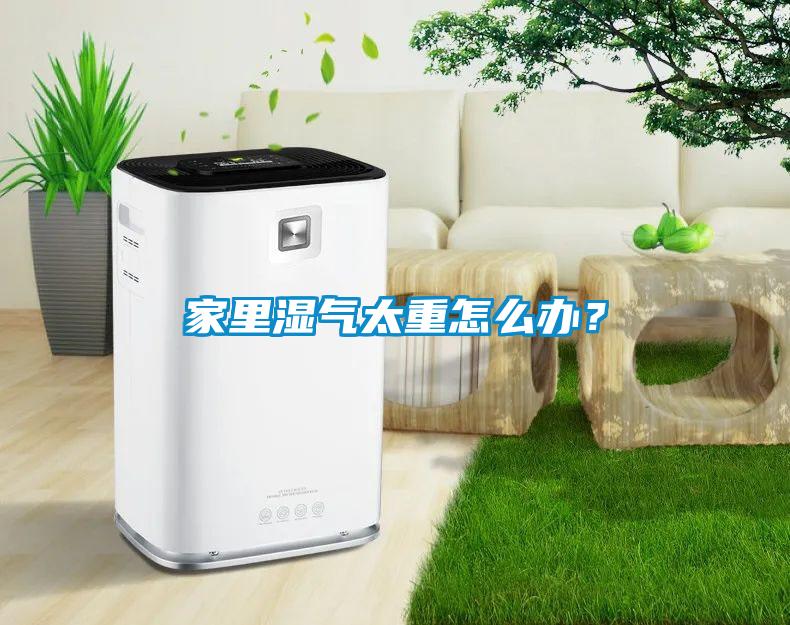 家里濕氣太重怎么辦？