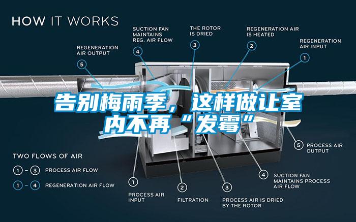 告別梅雨季，這樣做讓室內不再“發霉”