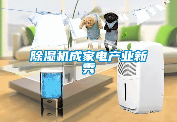 除濕機成家電產業新秀