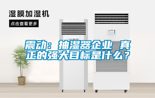 震動：抽濕器企業 真正的強大目標是什么？