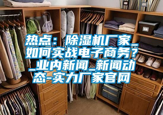 熱點：除濕機廠家_如何實戰電子商務？_業內新聞_新聞動態-實力廠家官網