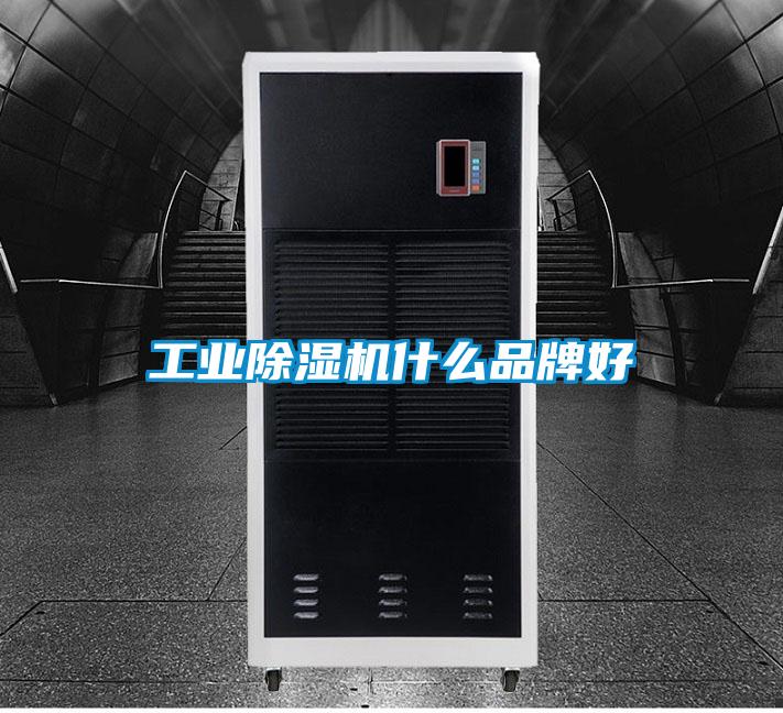 工業除濕機什么品牌好