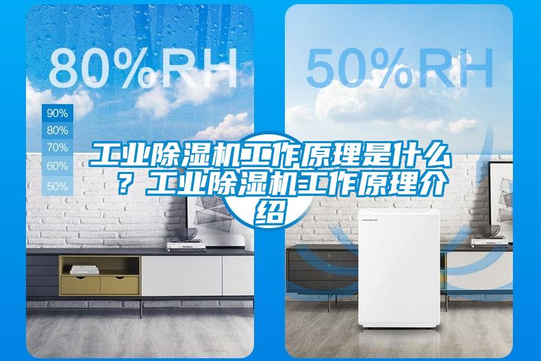 工業除濕機工作原理是什么 ？工業除濕機工作原理介紹