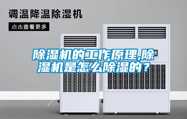 除濕機的工作原理,除濕機是怎么除濕的？