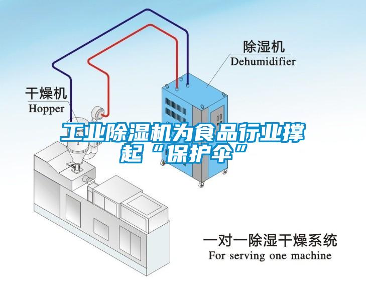 工業除濕機為食品行業撐起“保護傘”