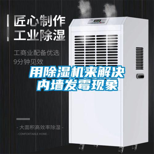 用除濕機來解決內墻發霉現象