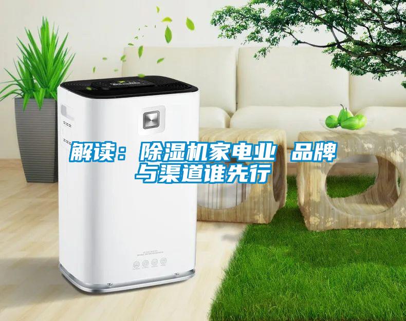 解讀：除濕機(jī)家電業(yè) 品牌與渠道誰(shuí)先行