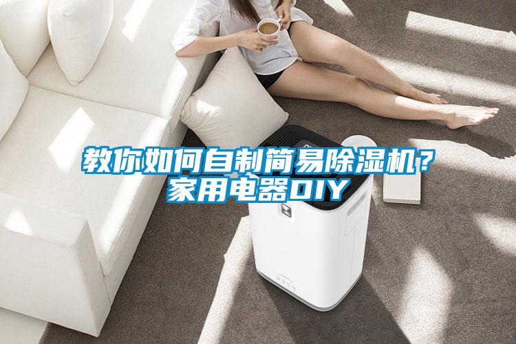 教你如何自制簡易除濕機(jī)？家用電器DIY