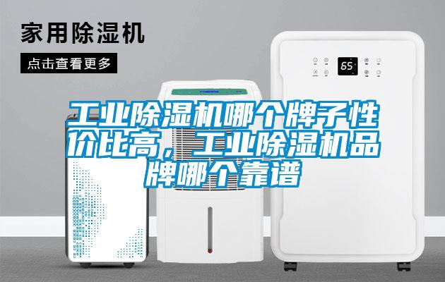 工業除濕機哪個牌子性價比高，工業除濕機品牌哪個靠譜