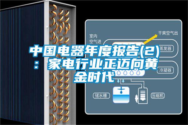 中國電器年度報告(2)：家電行業正邁向黃金時代