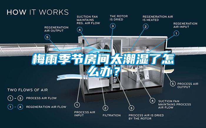 梅雨季節房間太潮濕了怎么辦？