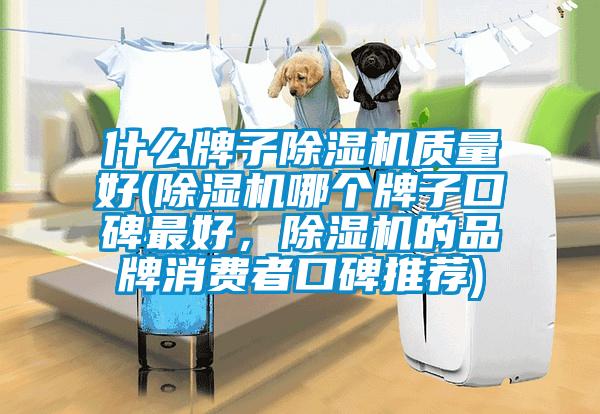 什么牌子除濕機質量好(除濕機哪個牌子口碑最好，除濕機的品牌消費者口碑推薦)