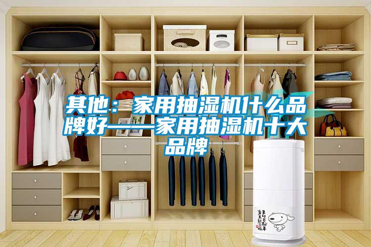 其他：家用抽濕機什么品牌好——家用抽濕機十大品牌