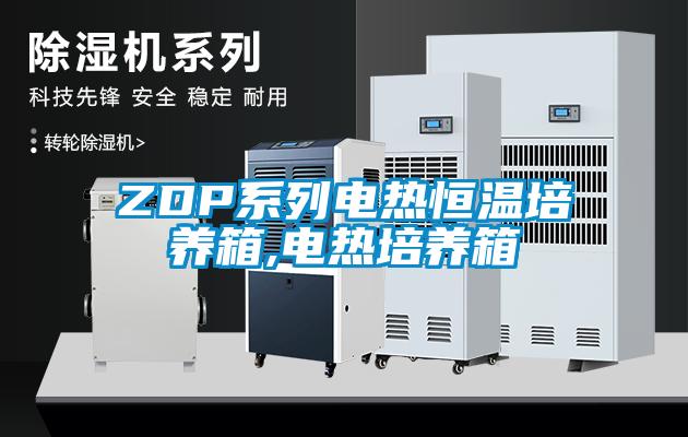 ZDP系列電熱恒溫培養箱,電熱培養箱