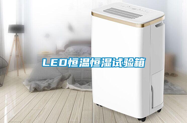 LED恒溫恒濕試驗箱