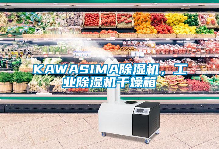 KAWASIMA除濕機，工業除濕機干燥箱