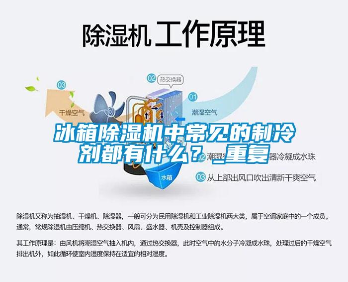 冰箱除濕機中常見的制冷劑都有什么？_重復