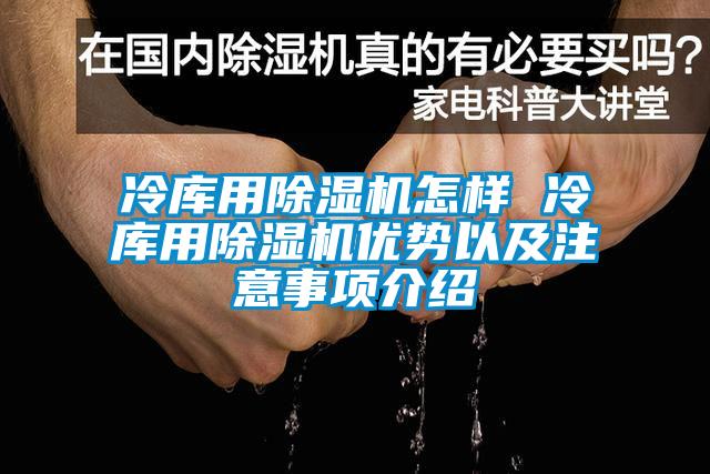 冷庫用除濕機怎樣 冷庫用除濕機優勢以及注意事項介紹