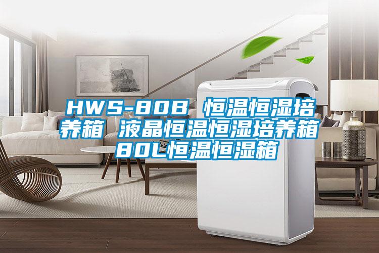 HWS-80B 恒溫恒濕培養箱 液晶恒溫恒濕培養箱 80L恒溫恒濕箱