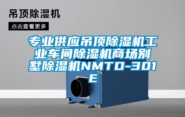 專業供應吊頂除濕機工業車間除濕機商場別墅除濕機NMTD-301E