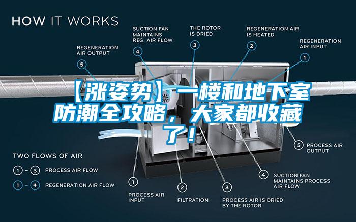 【漲姿勢】一樓和地下室防潮全攻略，大家都收藏了！