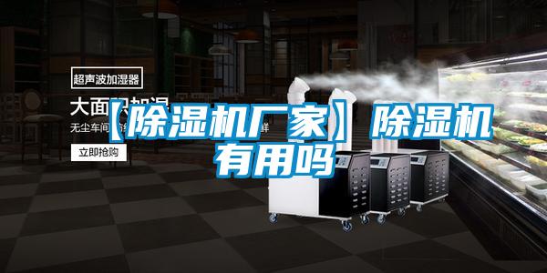 【除濕機廠家】除濕機有用嗎