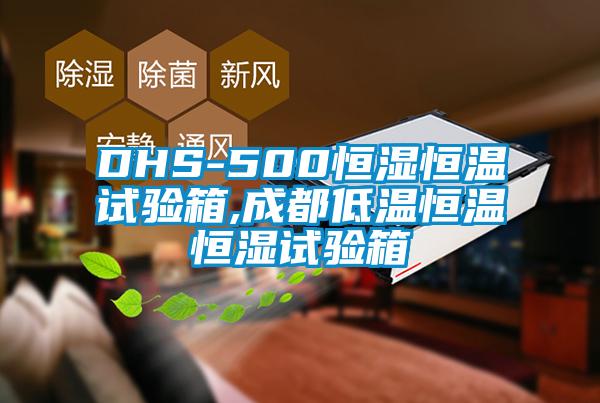 DHS-500恒濕恒溫試驗箱,成都低溫恒溫恒濕試驗箱