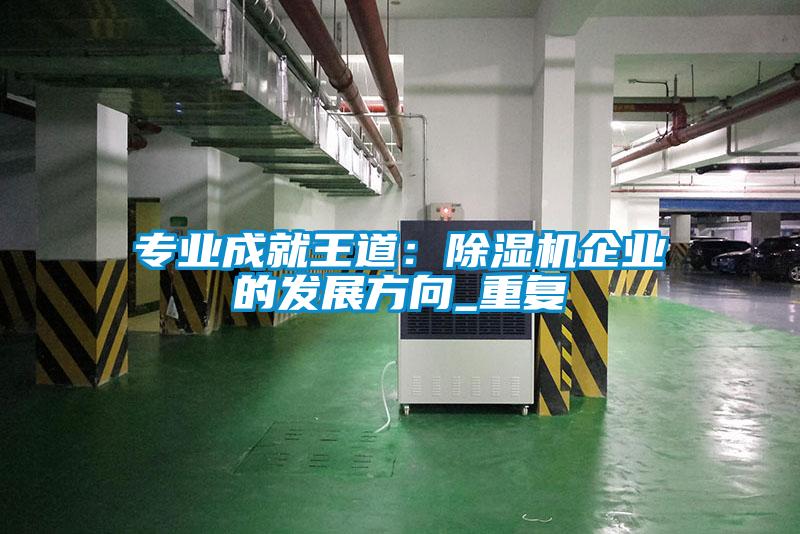 專業成就王道：除濕機企業的發展方向_重復