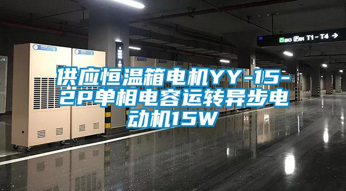 供應恒溫箱電機YY-15-2P單相電容運轉異步電動機15W