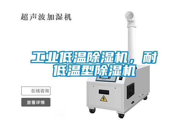 工業(yè)低溫除濕機(jī)，耐低溫型除濕機(jī)