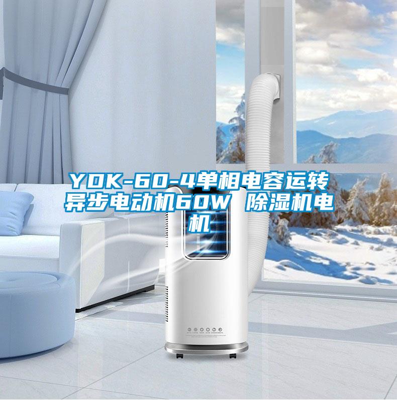 YDK-60-4單相電容運轉(zhuǎn)異步電動機60W 除濕機電機