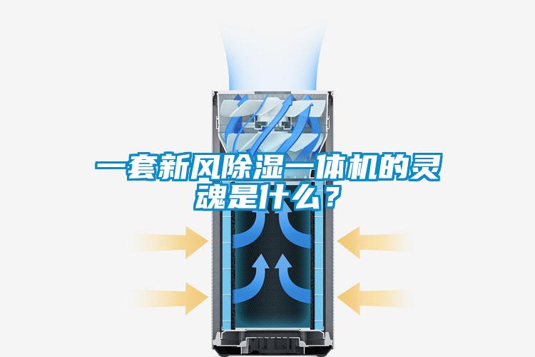 一套新風(fēng)除濕一體機的靈魂是什么？