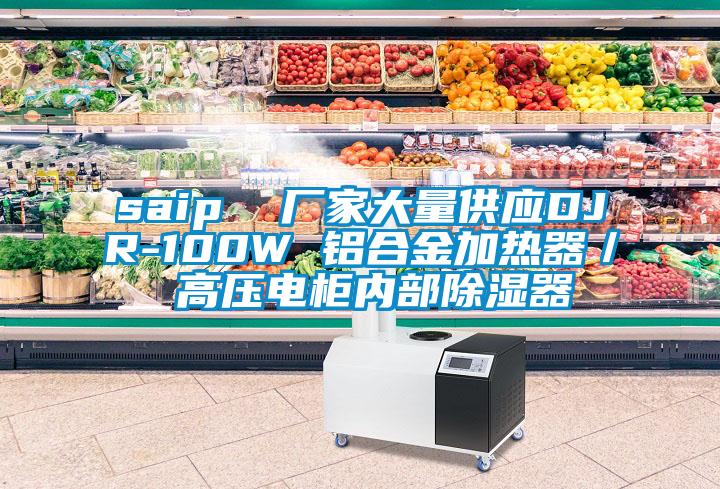 saip  廠家大量供應DJR-100W 鋁合金加熱器／ 高壓電柜內部除濕器